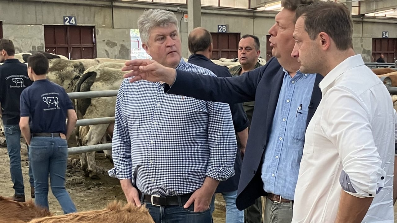 Michael McNamara, MEP for Ireland South; Benoit Cassart, Belgian MEP; and Christophe Hansen, European Commissioner for Agriculture and Food, attending the livestock mart in Ciney, Belgium. Source: Michael McNamara