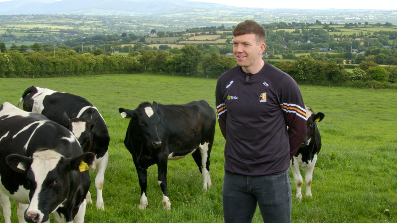 Former Co. Kilkenny hurler, Walter Walsh on his dairy farm. Source: ICBF