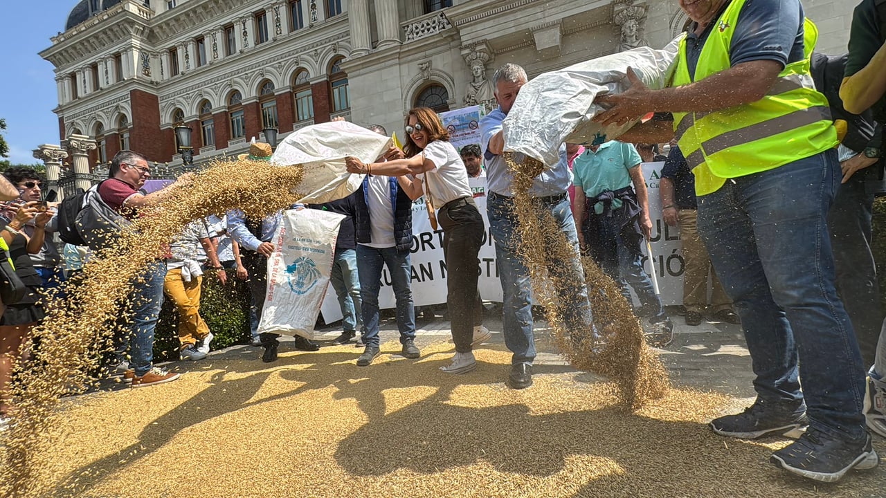 Farmers protest in Madrid. Image source: UPA X