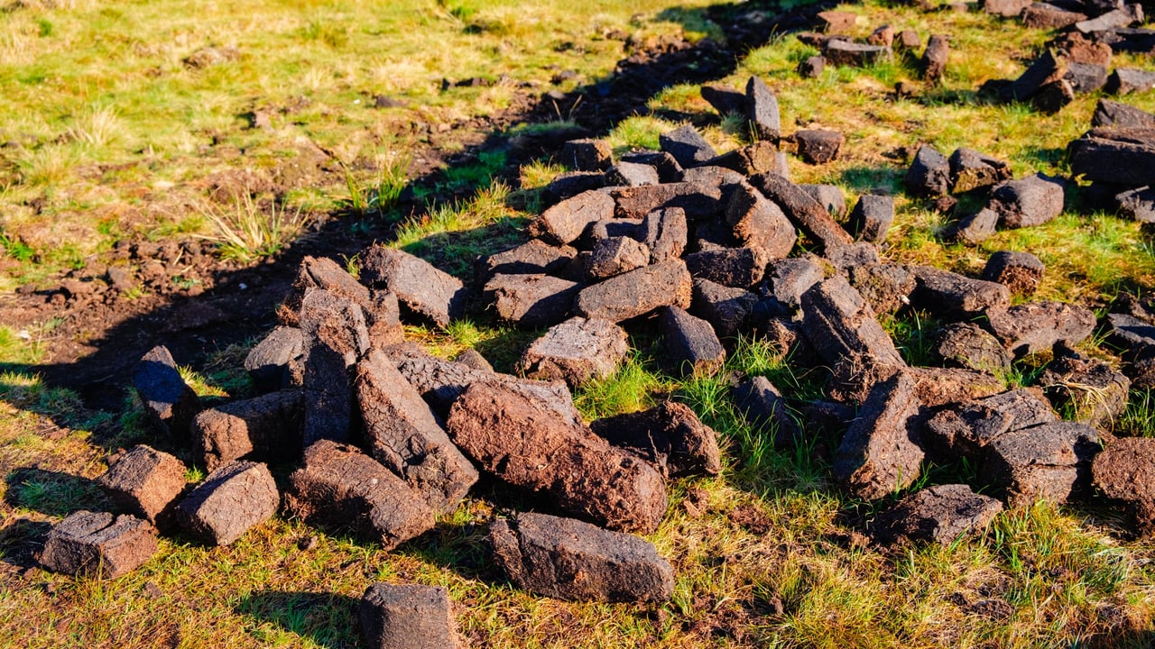 TD: Local authority bosses should be 'read riot act' over illegal peat activity