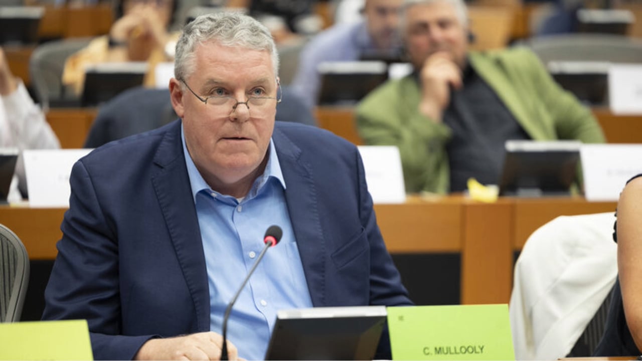 'No upside for Ireland' in US-EU trade deal - Mullooly