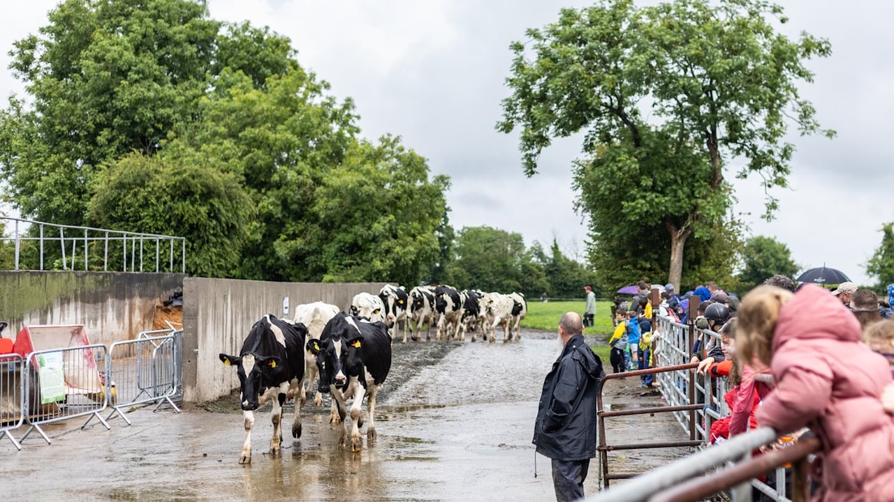 96% of Open Day visitors say farms have high animal welfare