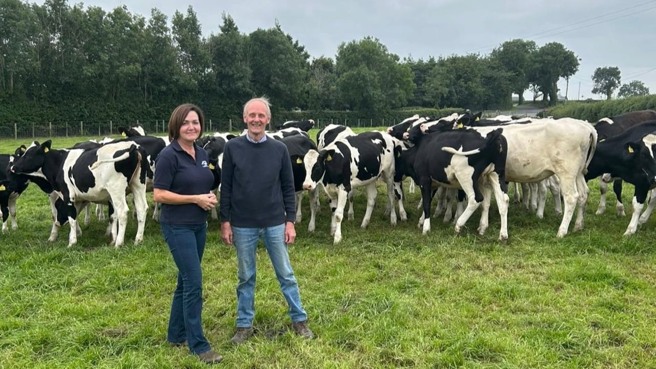 Dairy farmer Beattie Lilburn with his vet Joy Crawford from Lisburn Veterinary Clinic. Source MSD Animal Health