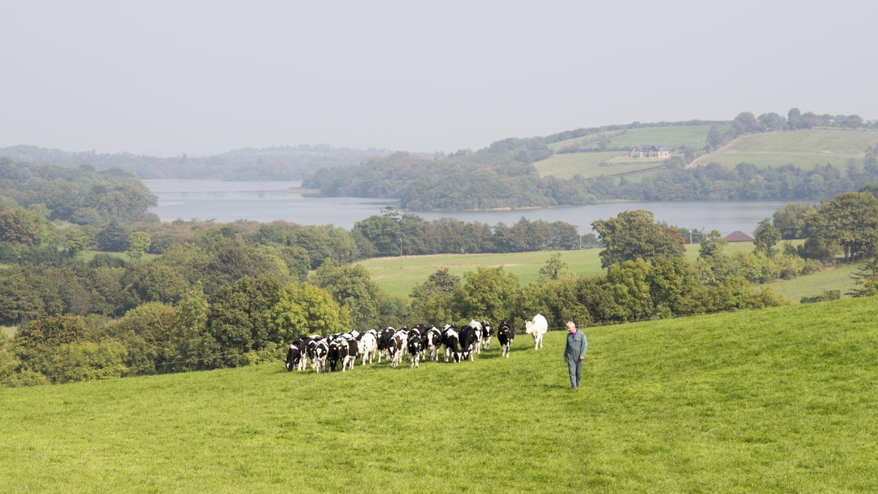 David Williamson, pictured on his farm near Bailieborough, Co. Cavan.
