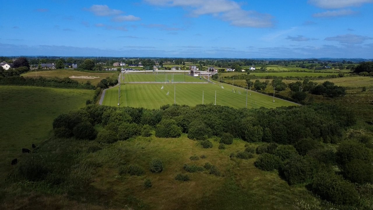 Habitat survey at Co. Louth GAA club reveals biodiversity 'treasure'