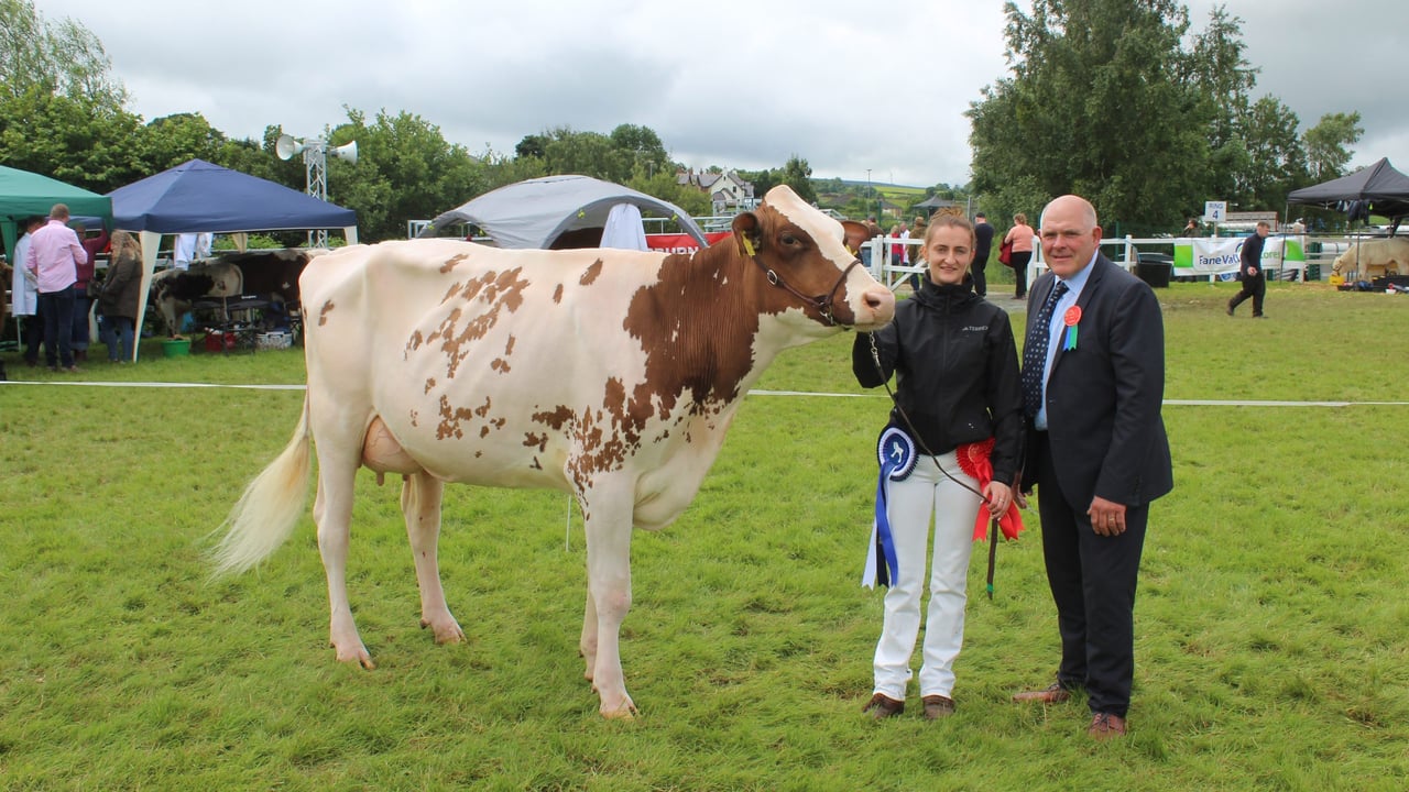 Improved genetics 'delivering across all aspects' of NI dairy sector - breeder