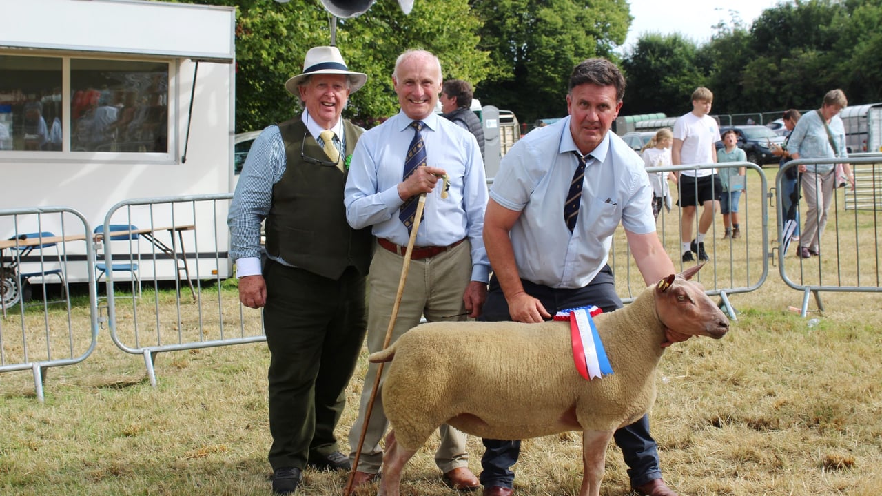 The sheep inter-breed champion at Castlewellan Show 2025 with winning connections