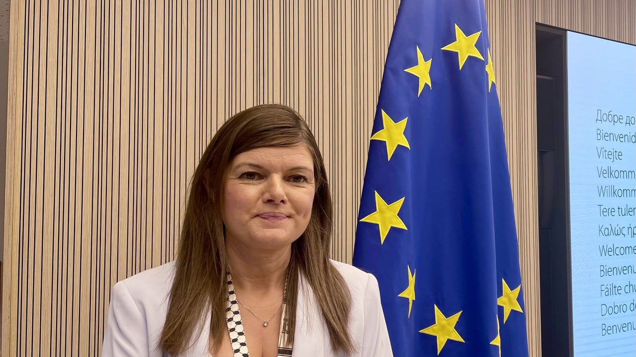 Sinn Féin MEP for Ireland South, Kathleen Funchion