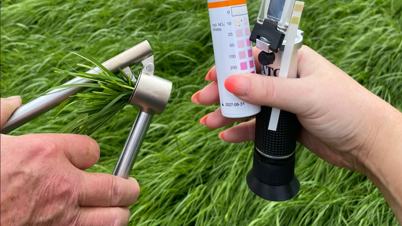 ABP Monitor Farm: Summer scour, silage, and cattle weight