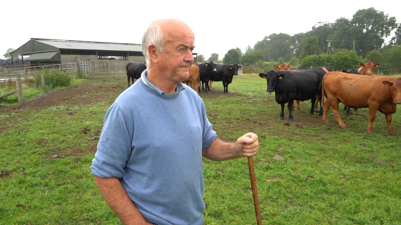 Robin Talbot on his Co. Laois farm. Source: ICBF