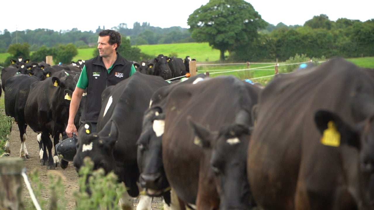 How genotyping is boosting profitability for Co. Tipperary dairy farmer