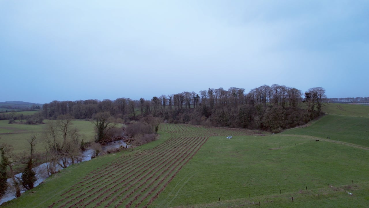 Minister Healy-Rae visits 'Woodland for Water' measure