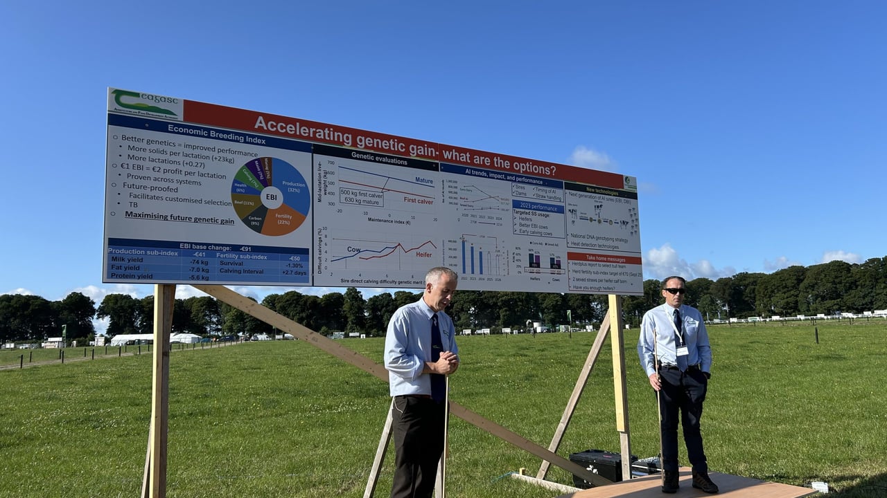 Teagasc's Donagh Berry and Stephen Butler at the Moorepark open day