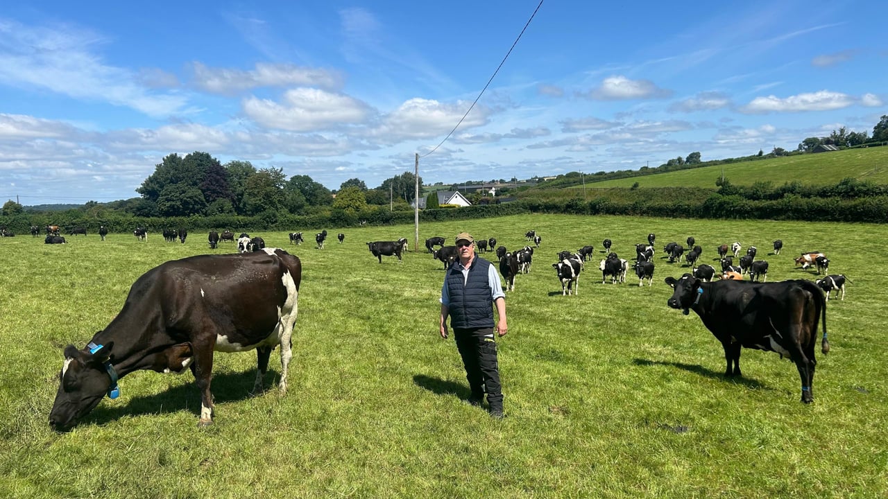 Eugene Lawler with his herd of cows in Ballitore, Co. Kildare
