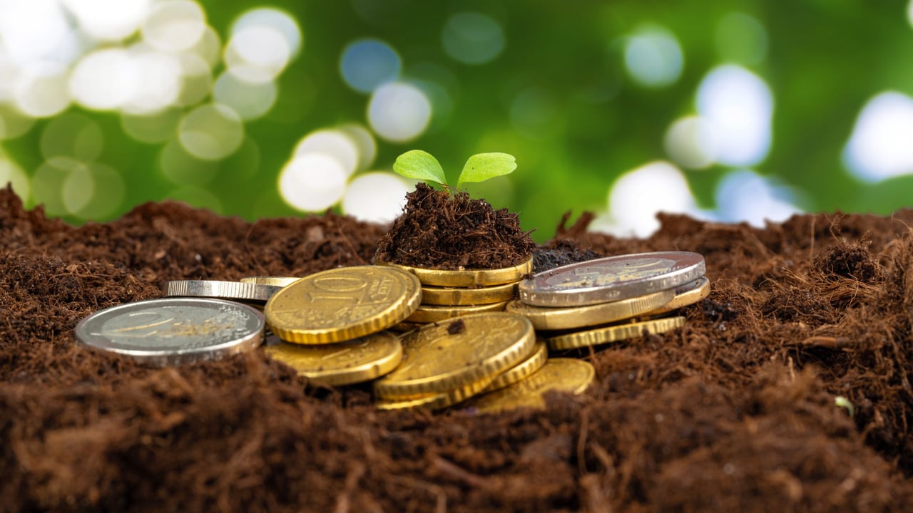 Irish agri-food sector facing 'very significant uncertainty' - ICOS