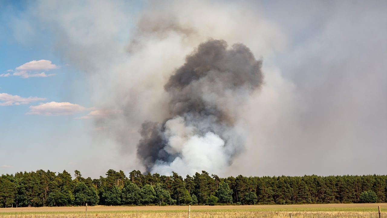 DAFM issues condition red extreme forest fire risk warning
