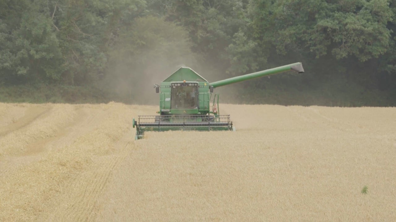 2025 cereal harvest in Co Kilkenny
