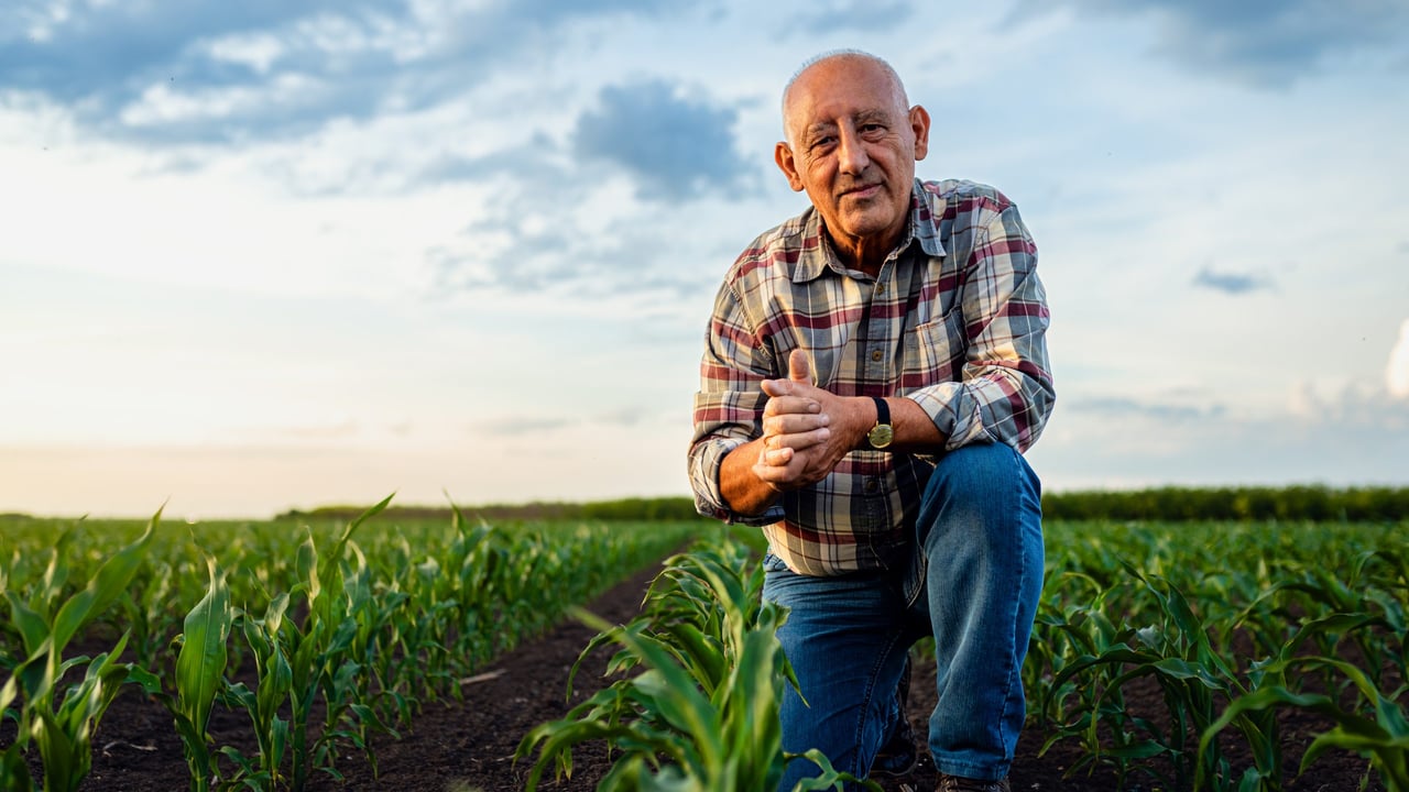 Sinn Féin: EU's plan to 'force older farmers to quit farming'  not the way to go