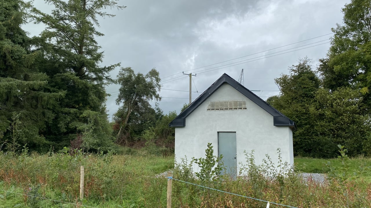 EirGrid and ESB build new bat roost after farmhouse demolished