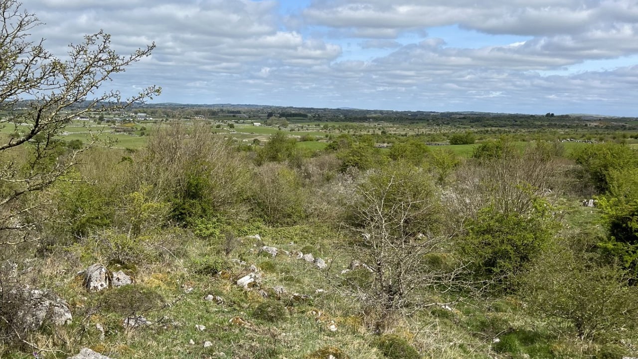 Farming 'the Rocks' in south Co. Roscommon