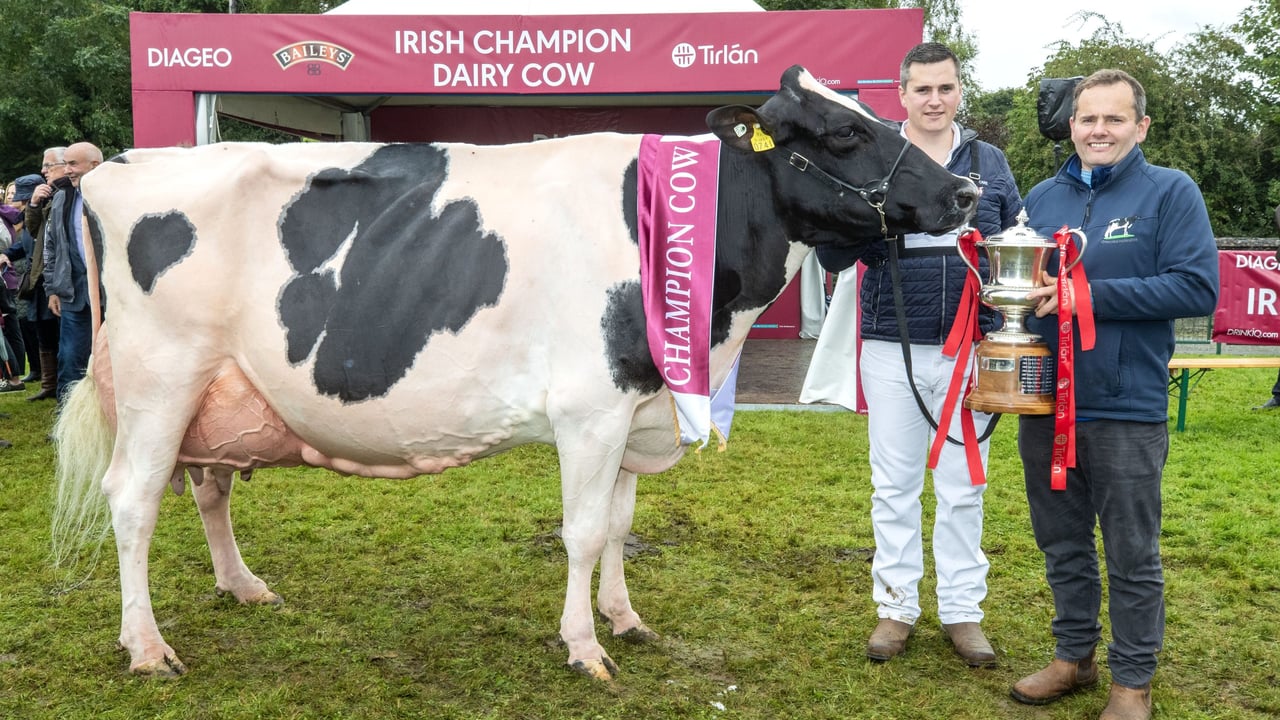Heading to Cavan’s Big Day Out?