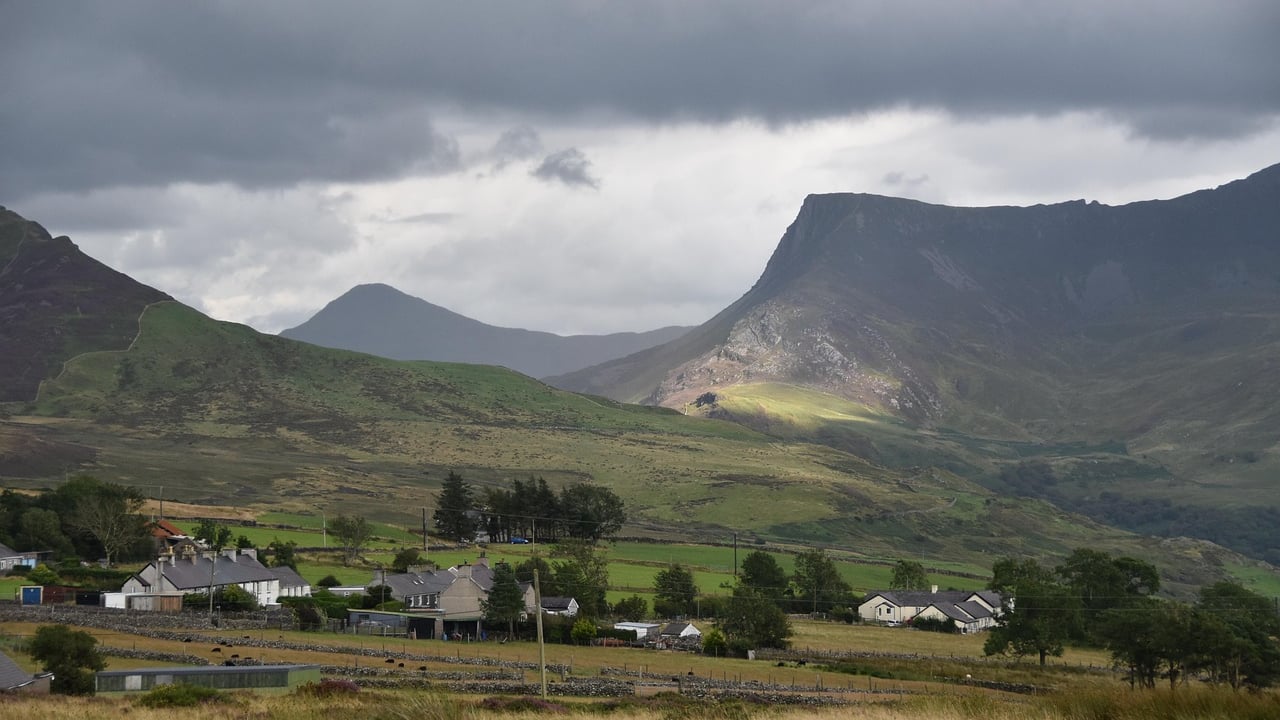 Wales aims to be TB-free by 2041: How is it working to achieve this?