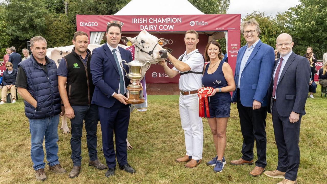 Minister of Agriculture, Food and the Marine, Martin Heydon presents the Virginia Milk Products Cup to joint owners Philip and Linda Jones from Gorey Co Wexford and Clive Richardson and Joel Richardson from Co Armagh, with sponsors, John Murphy, Chairperson Tírlan and Shane Kelly, Corporate Relations Director Diageo Ireland.
Picture:  Finbarr O'Rourke