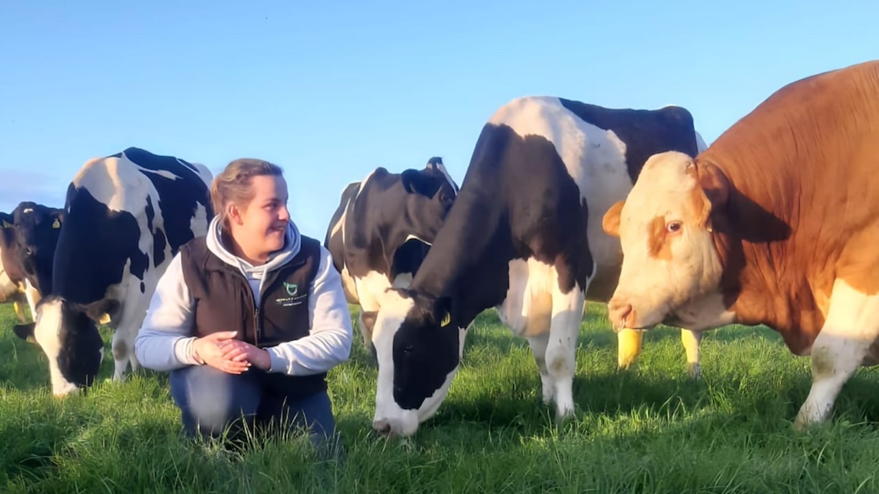 Strict rules 'pushing young people away' from farming - Wexford Rose