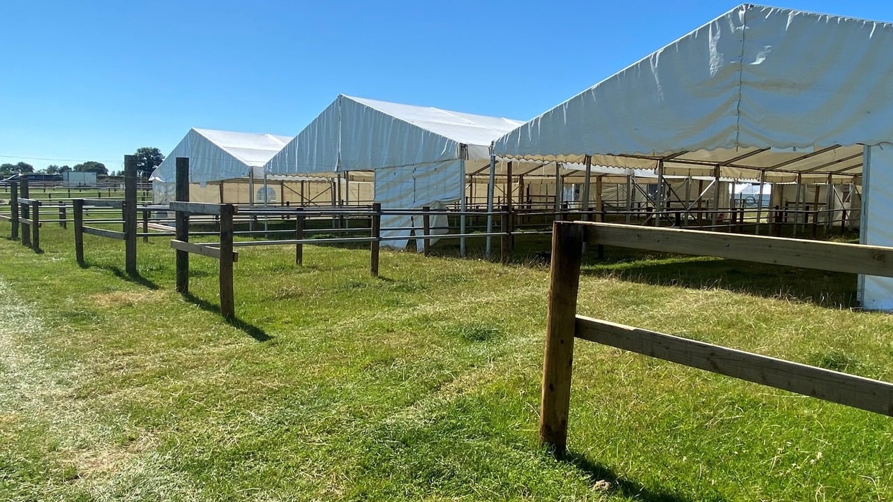 The stage is set for Tullamore Show 2025 this Sunday