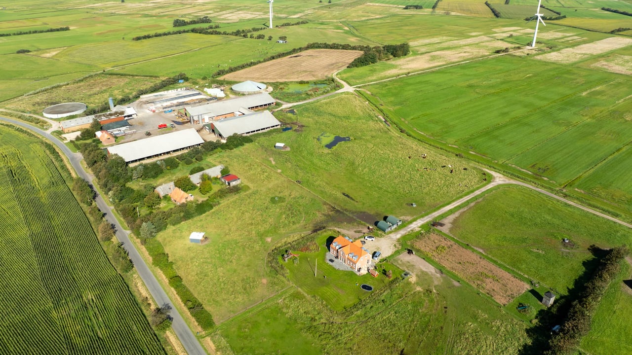 Anders Ring's farm is located only 3km from the North Sea which presents some environmental restrictions on how he manages it