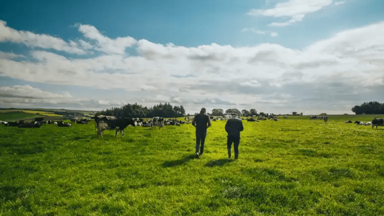 Barry and his father Denis O'Mahony on the farm in west Cork. Source: Five Farms Irish Cream Liqueur