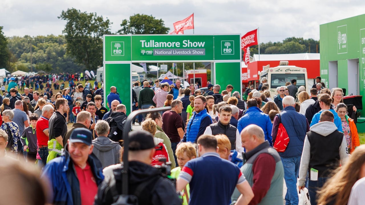 Looking ahead to the Tullamore Show &amp; FBD National Livestock Show