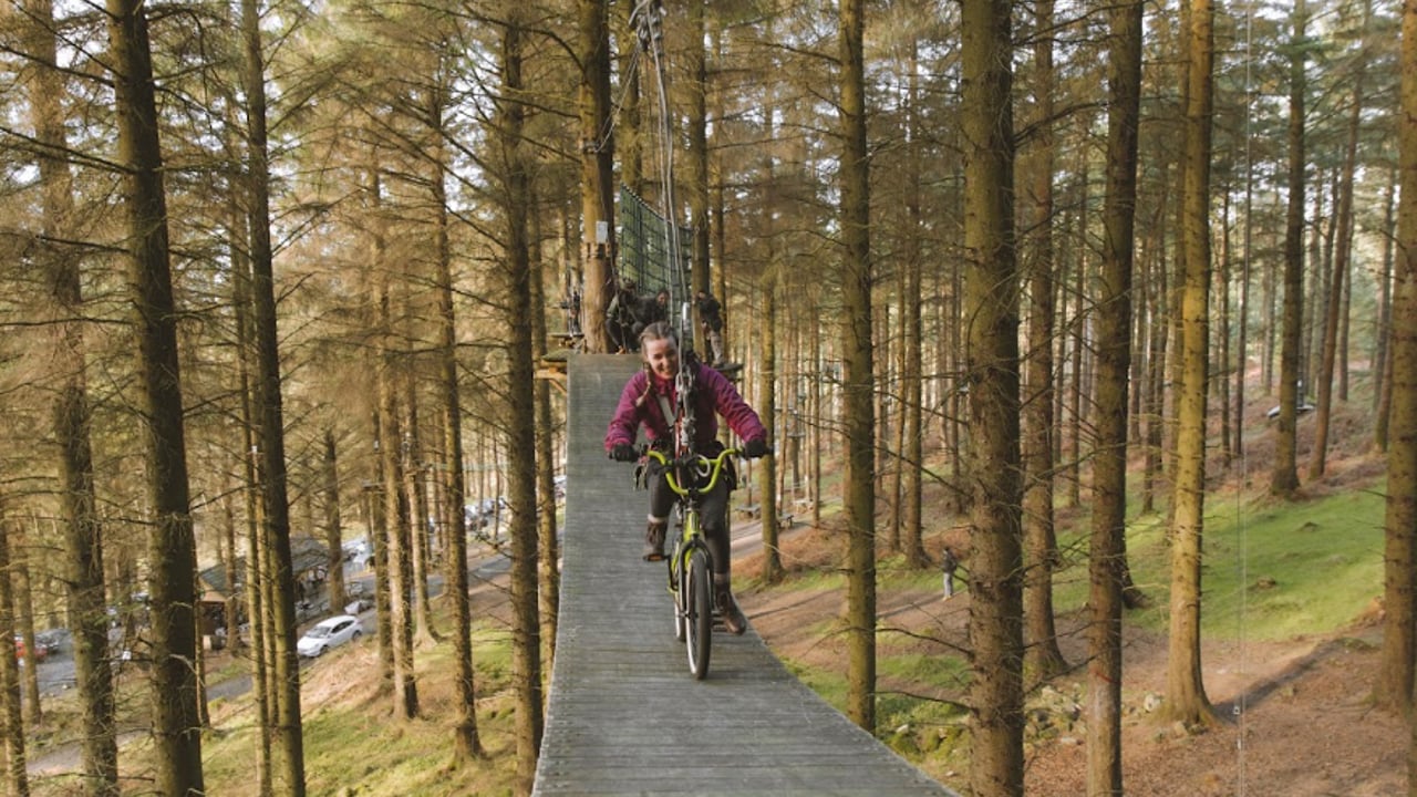€4m boost for Coillte to develop new 'infrastructure projects'