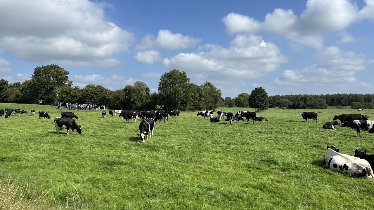 Drive for 600kg MS/cow through breeding &amp; grass in Co. Tipperary