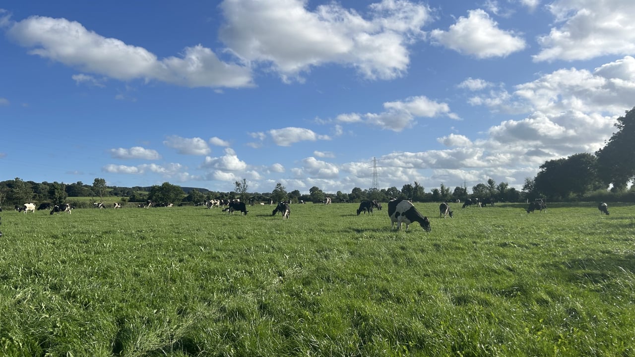 Milk Price Tracker: Prices mostly steady for June supplies