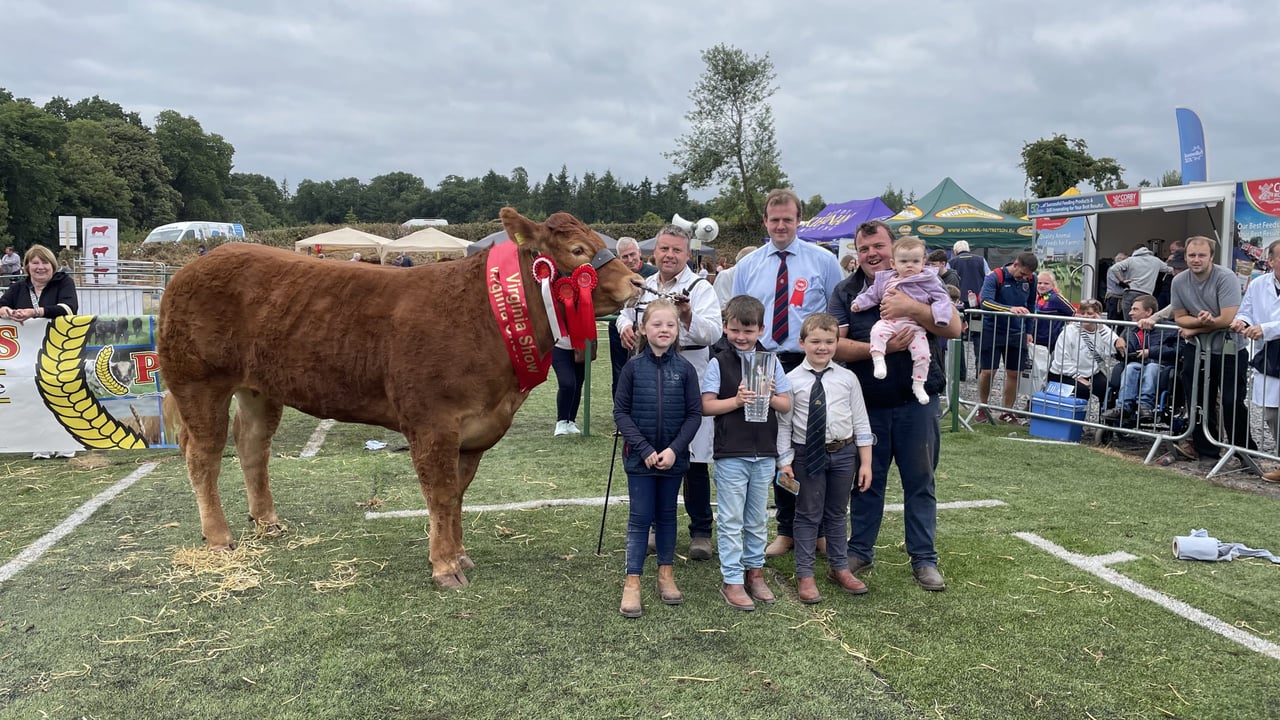 The Connell brothers from Co. Meath won the 2025 Virginia Show Interbreed Champion with their pedigree Limousin heifer