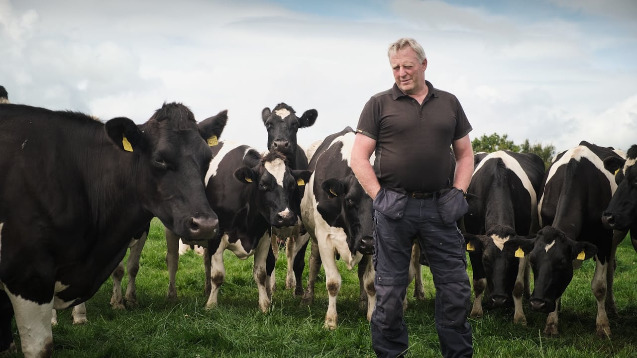 Michael O'Connell, chair of ICMSA Livestock Committee