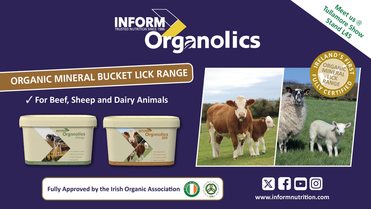 Check out Ireland's organic mineral bucket lick range at Tullamore Show