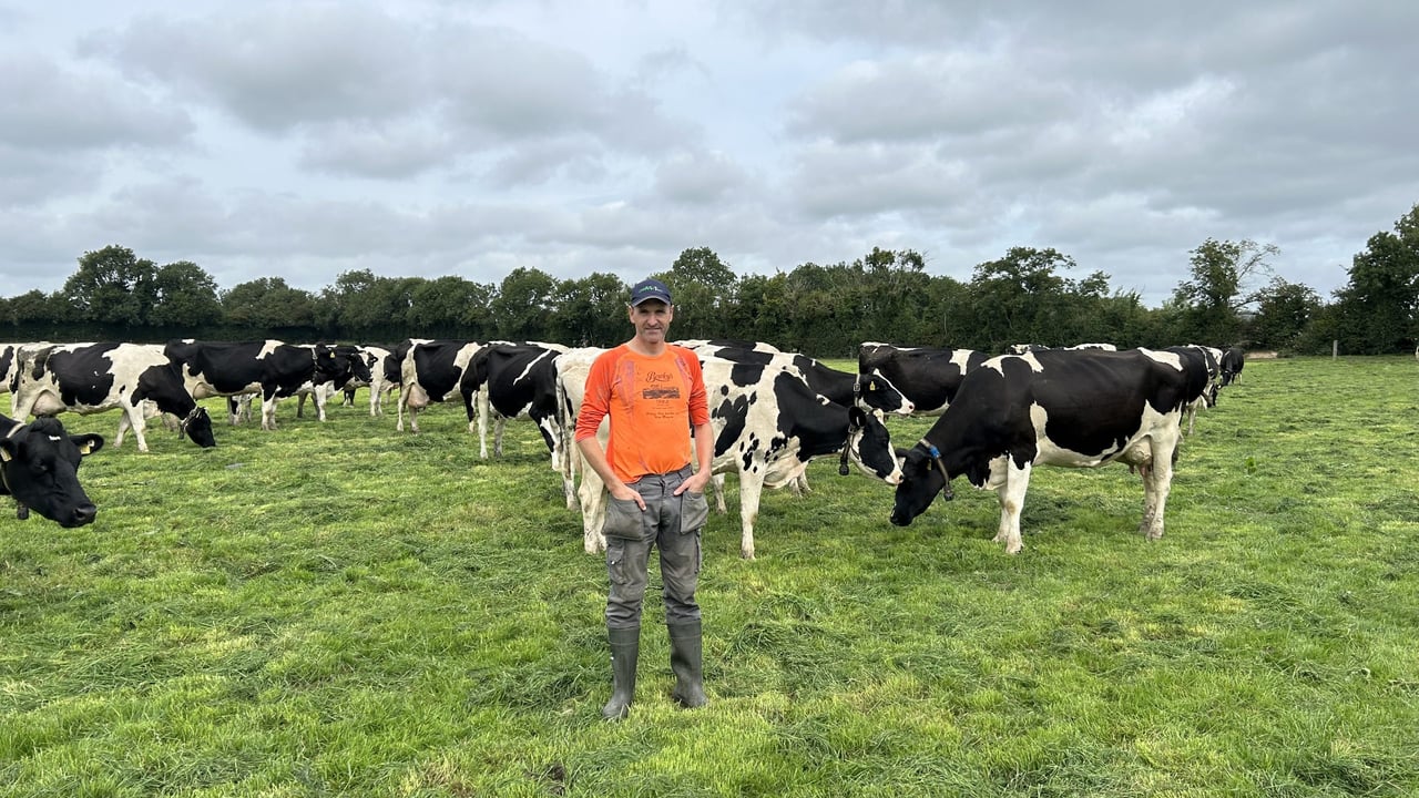 Listen: Meath farmer aims for 700kg solids off American Holstein genetics