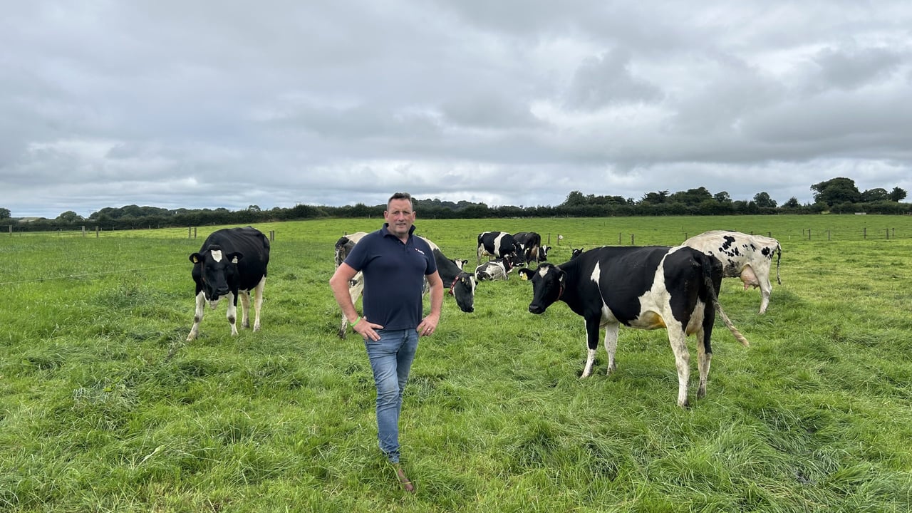Mike Clohessy with his herd of cows