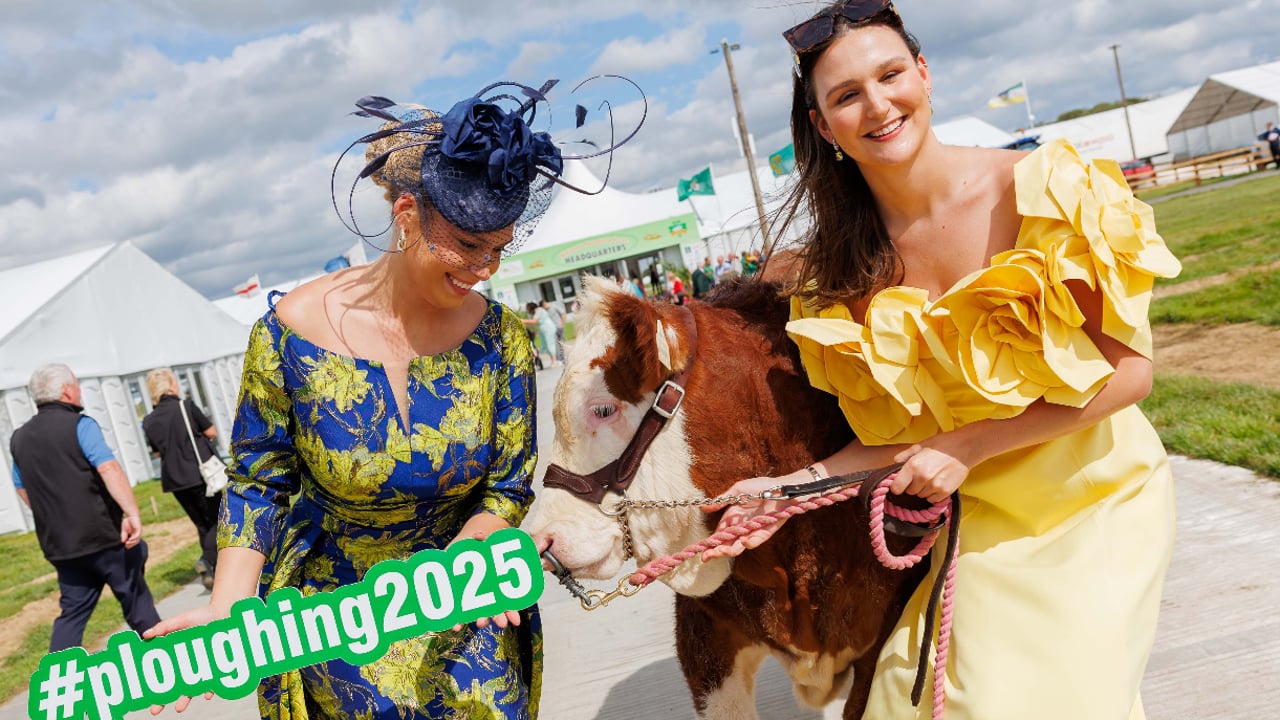 The countdown is underway to the 2025 National Ploughing Championships Source: National Ploughing Association