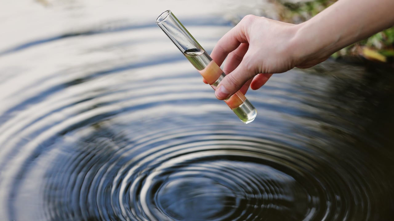 Inland Fisheries Ireland, Cork County Council, the EPA, the Marine Institute, and Uisce Éireann are working together to assess the water and habitat quality of the River Blackwater Source: Library