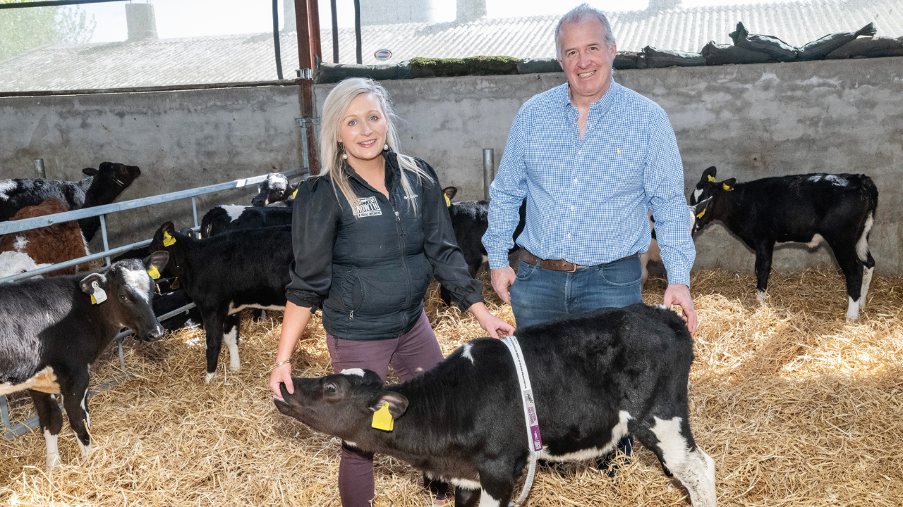 A trusted choice for calf rearing for generations of Limerick farmers