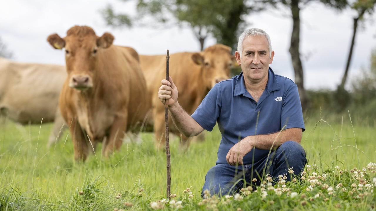 Albert Murphy from Soran, Co. Longford. Source: MSD Animal Health