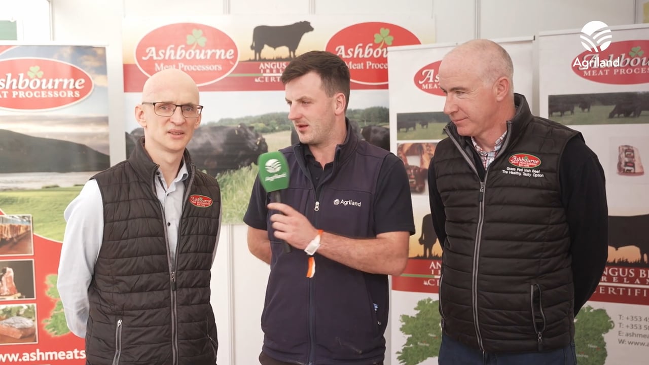 Ashbourne Meats operations manager Donal Houlihan and Ashbourne Meats procurement manager Willie McCormack chatting to Agriland technical beef specialist Breifne O'Brien at Ploughing 2025