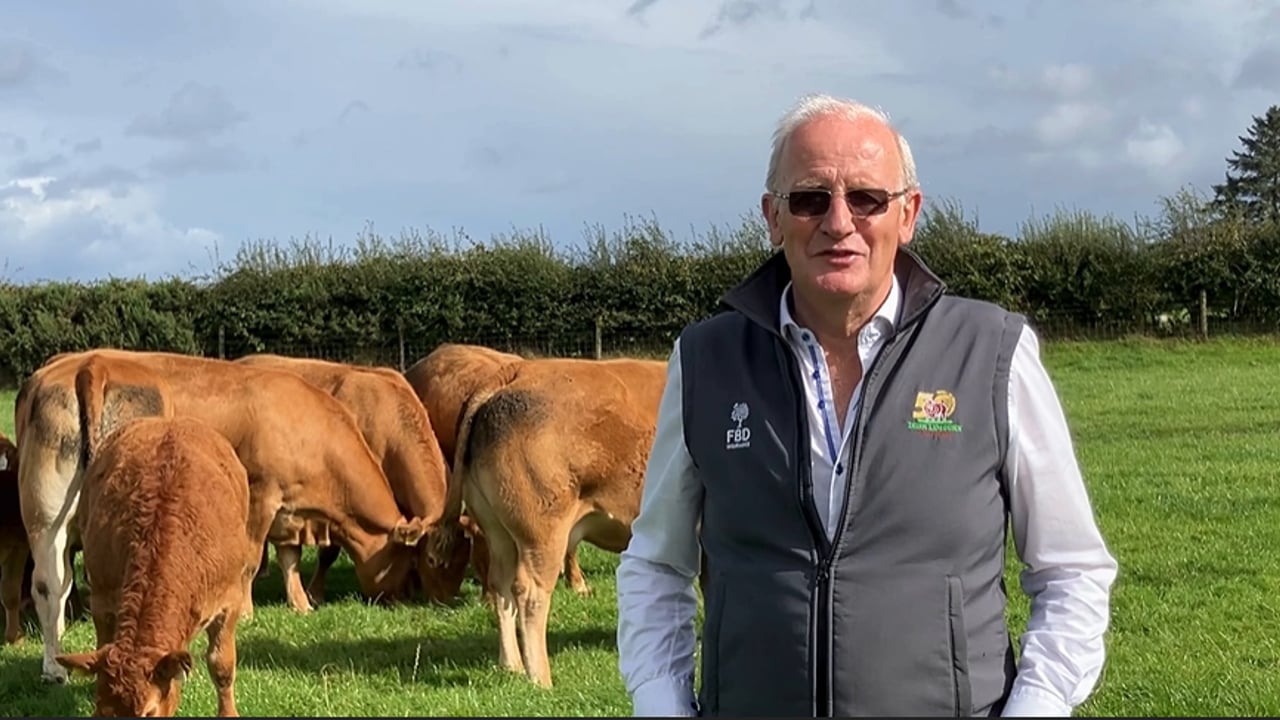 Bertie Mannion is a pedigree cattle breeder and sheep farmer based in Curraghboy, Athlone, Co. Roscommon. Image source: Irish Limousin Cattle Society