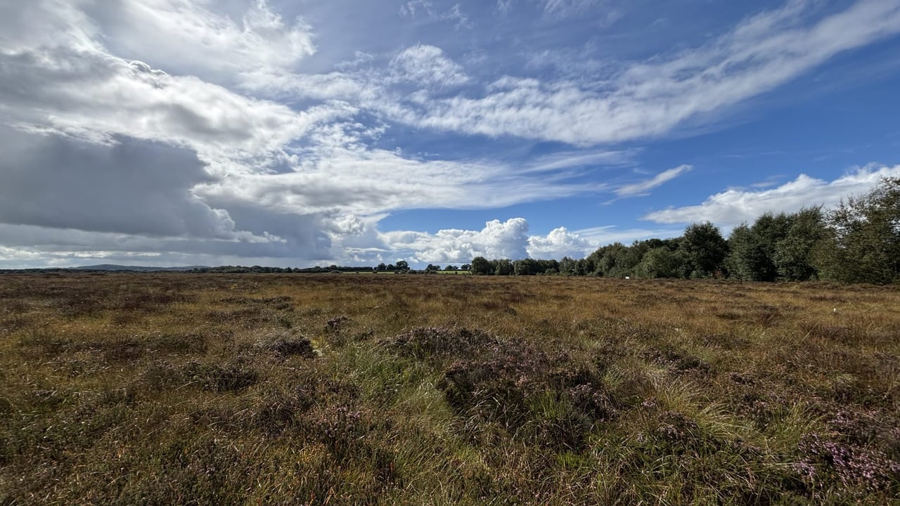 Dutch role in helping to protect Irish peatlands honoured at Kildare event