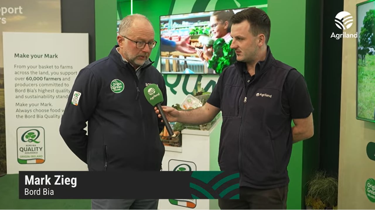 Bord Bia beef sector manager Mark Zieg speaking to Agriland's Breifne O'Brien at Ploughing 2025