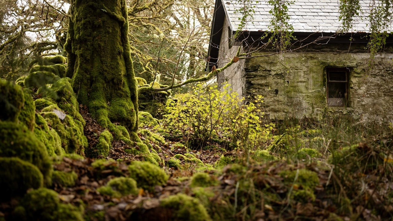 Rossacroo Wood Source: Coillte 