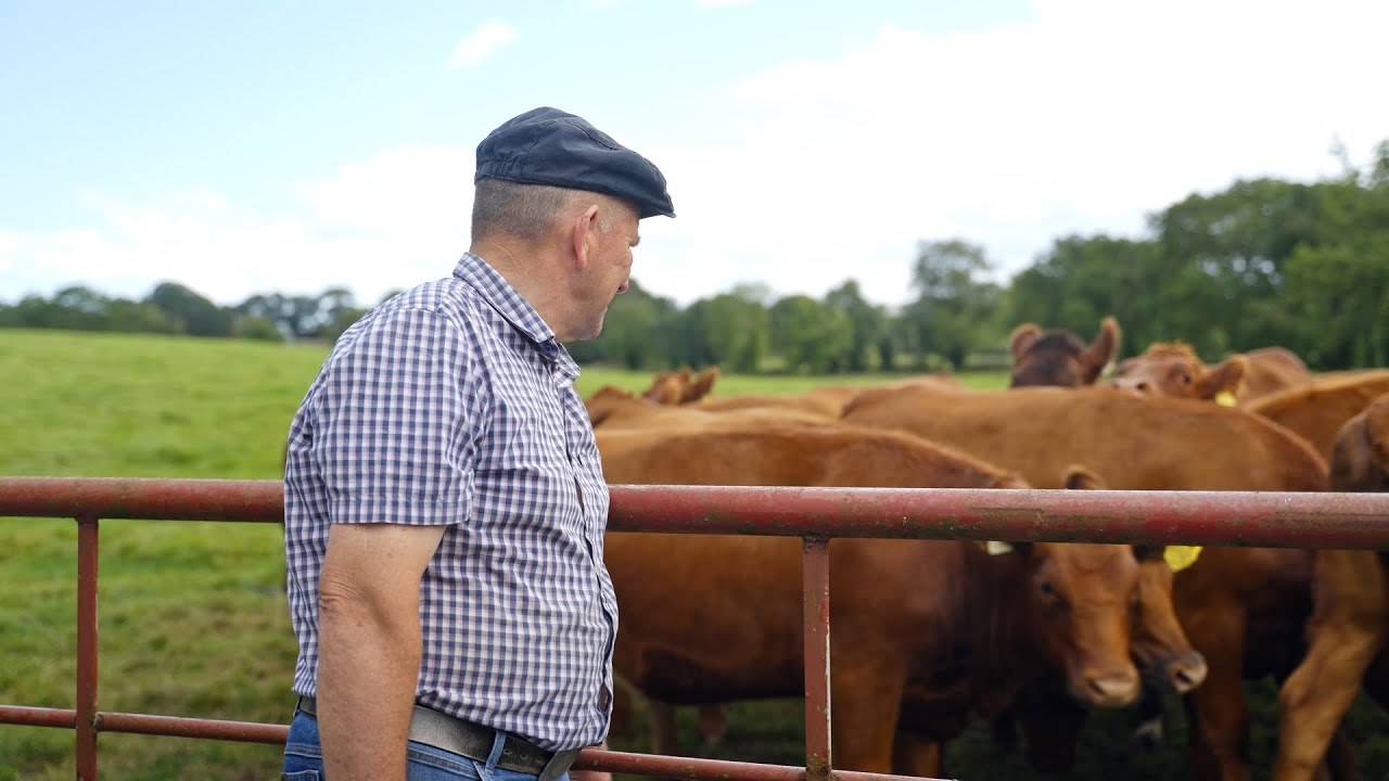 Farmer 'heard bones breaking' in bull attack | Farm Safe, Farm Well Series
